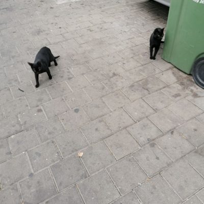 Tel Aviv