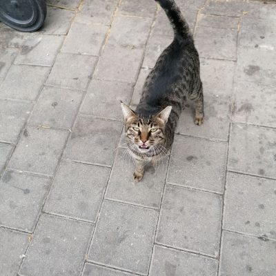 Tel Aviv