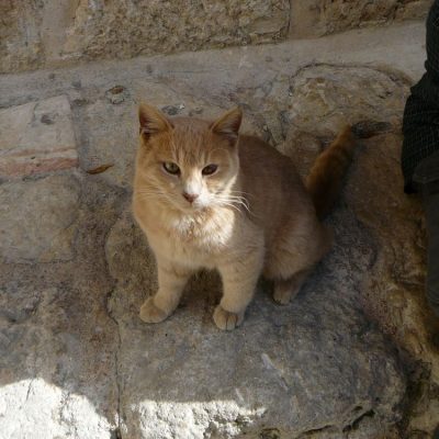 Gerusalemme