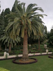 IMG 20221129 115410-Copia