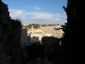 P1160437-Copia
